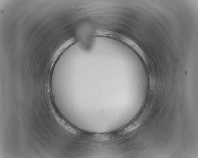 X0000078830954200611271254