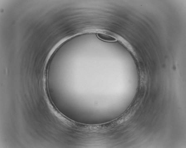 X0000078830955200611271254