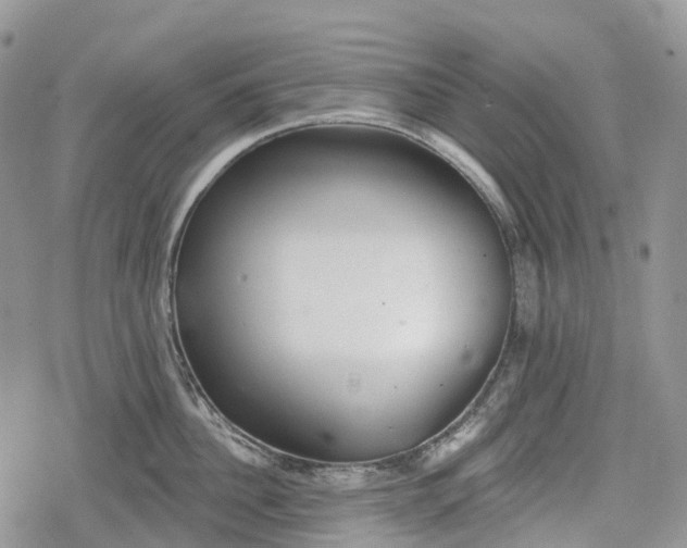 X0000078830956200611271254