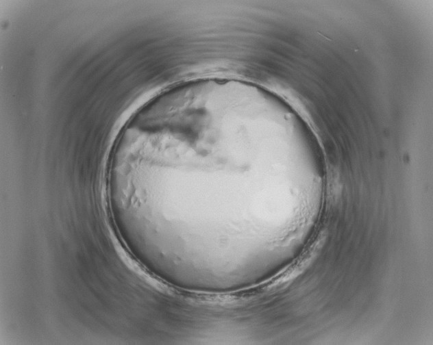 X0000078830957200611271254