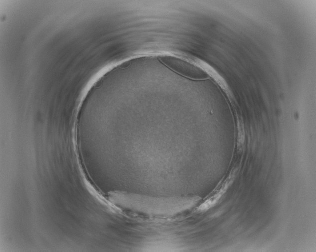 X0000078830958200611271254