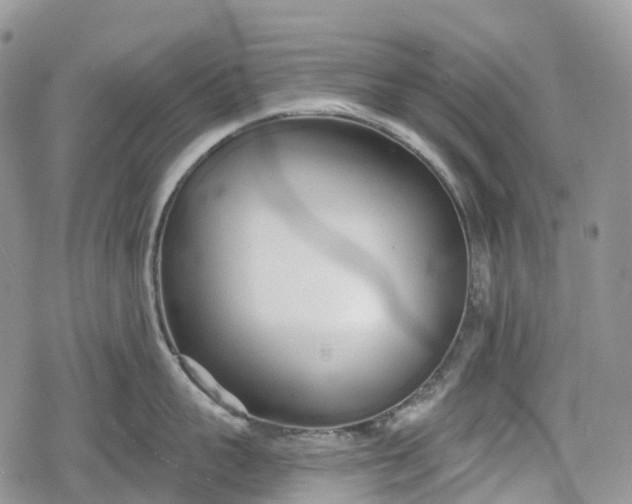 X0000078830959200611271254