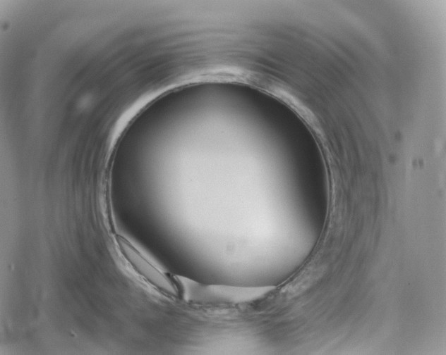 X0000078830960200611271254