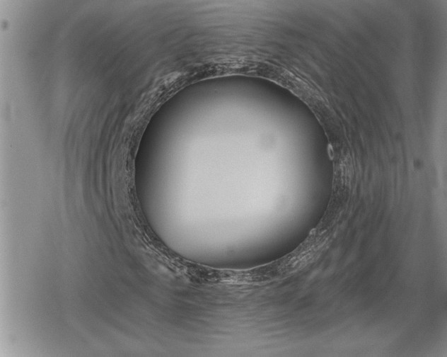 X0000078830961200611271253