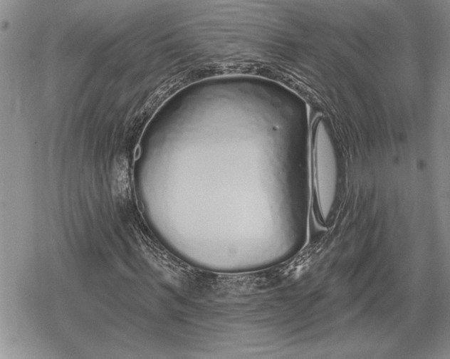 X0000078830963200611271253