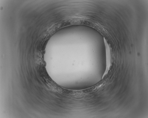 X0000078830964200611271253