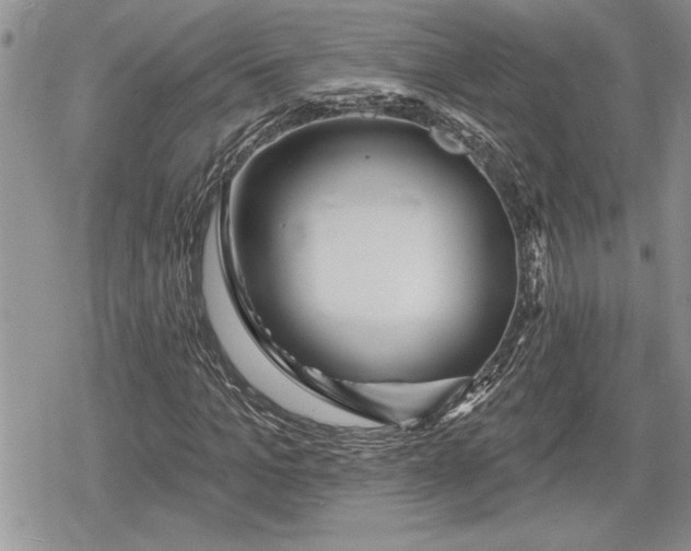 X0000078830965200611271253