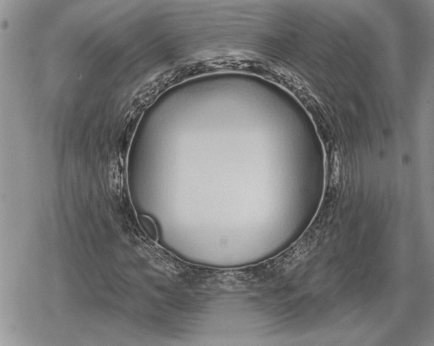 X0000078830966200611271253