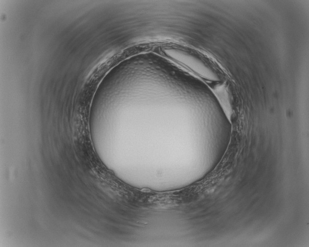 X0000078830967200611271253