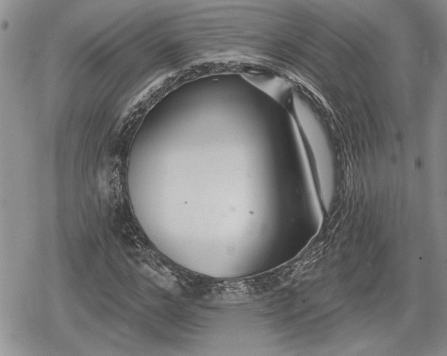 X0000078830968200611271253