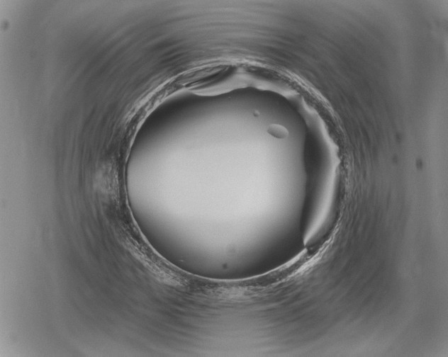 X0000078830969200611271253