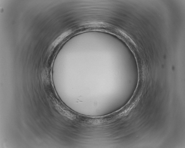 X0000078830970200611271253