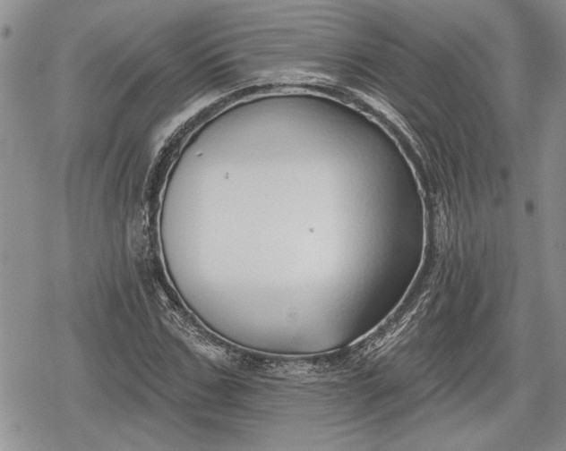 X0000078830971200611271253