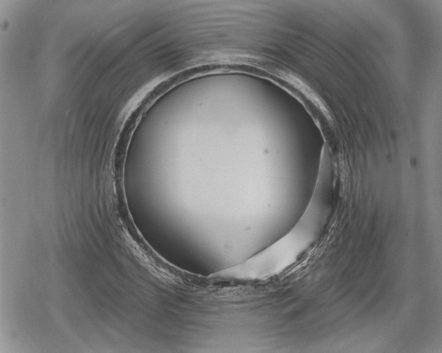 X0000078830972200611271253