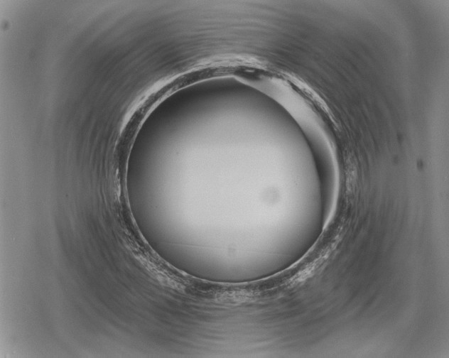 X0000078830973200611271253