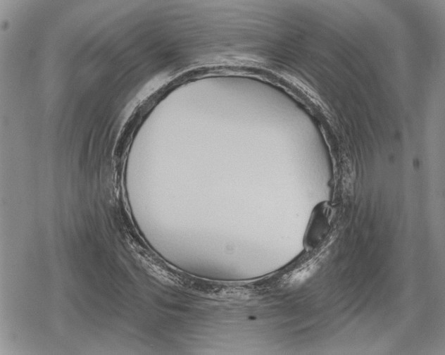 X0000078830974200611271253