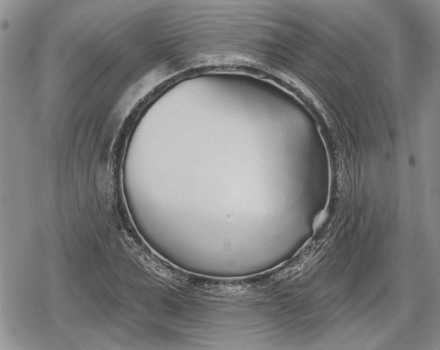 X0000078830975200611271253