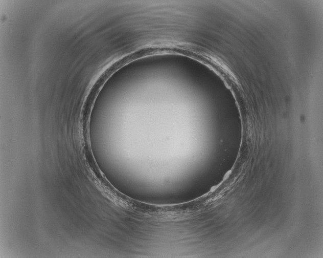 X0000078830976200611271253