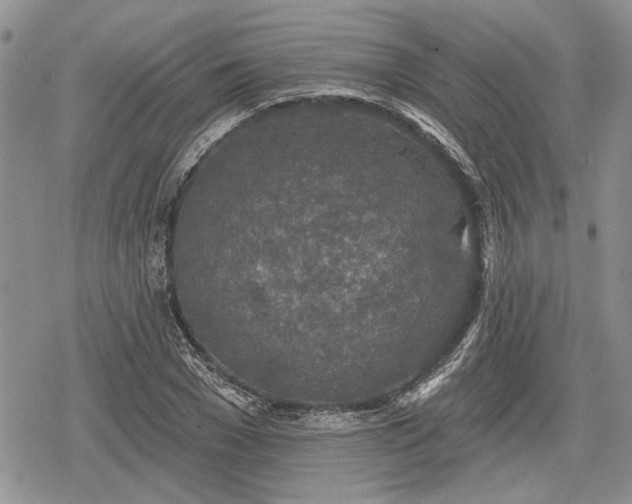 X0000078830977200611271253