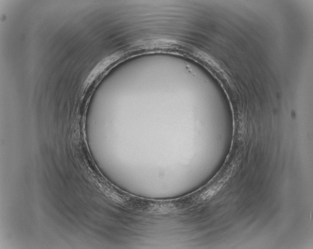 X0000078830978200611271253