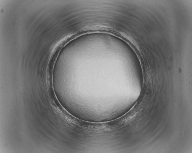 X0000078830979200611271253