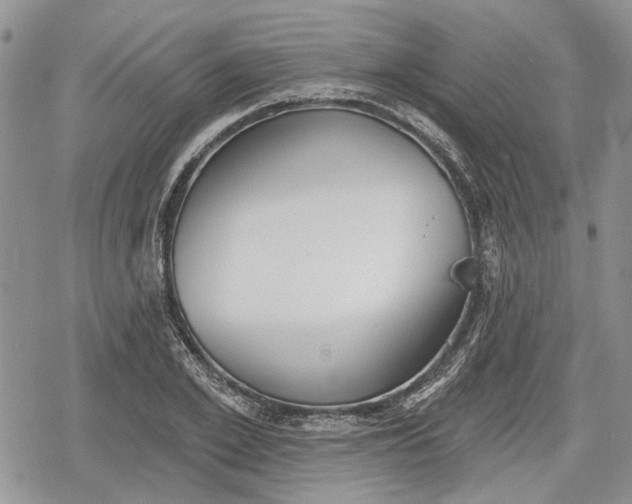 X0000078830981200611271253