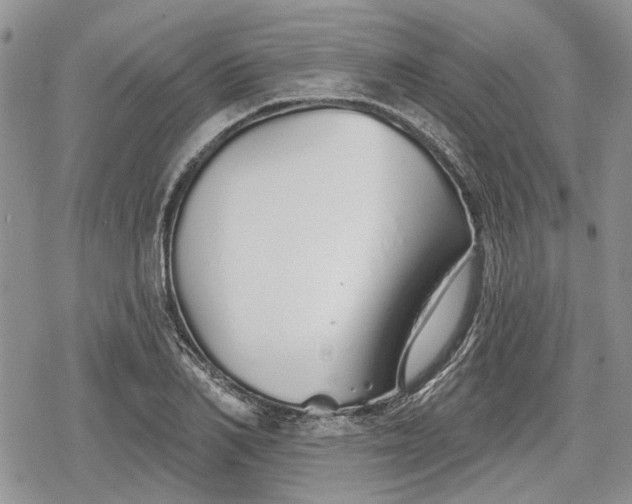 X0000078830982200611271253