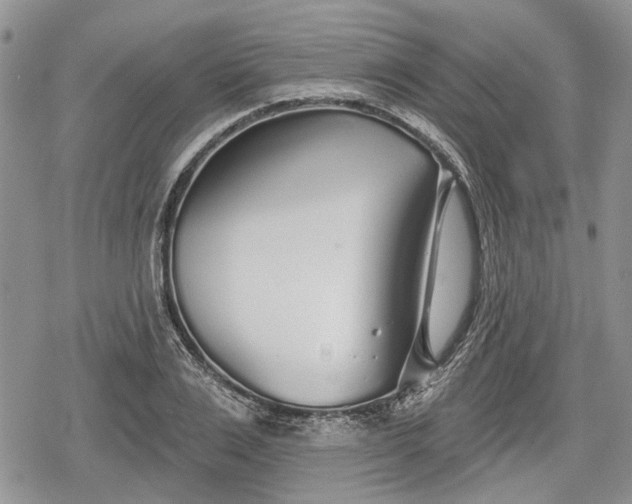 X0000078830983200611271253