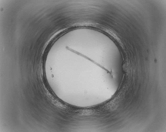 X0000078830984200611271253