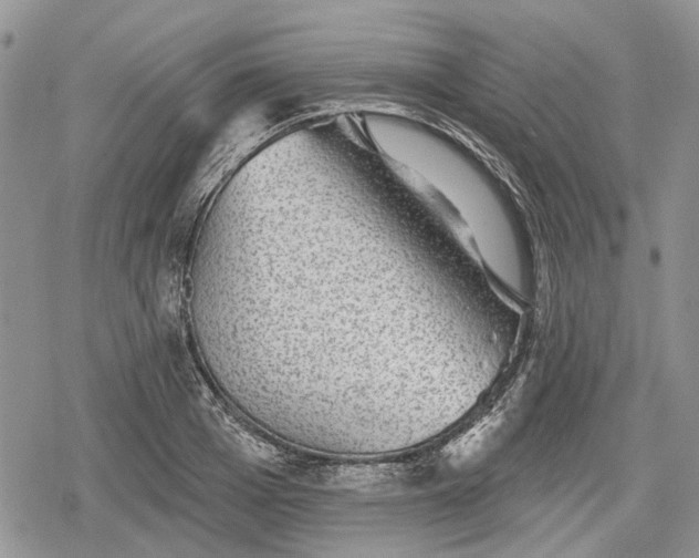 X0000078830985200611271252