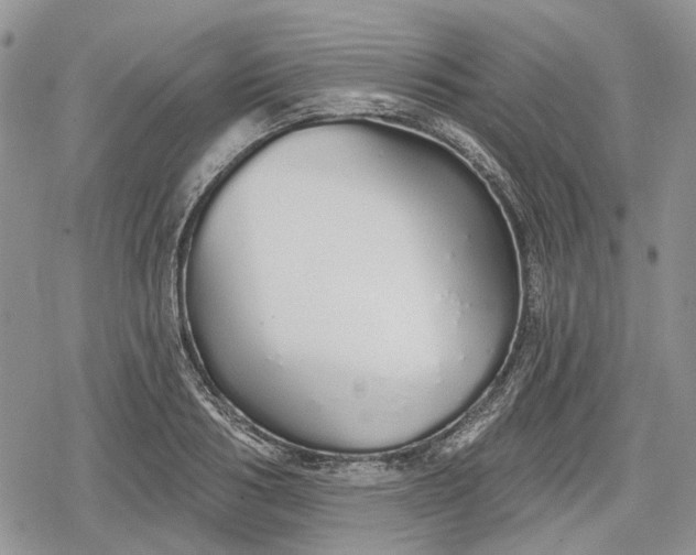 X0000078830986200611271252