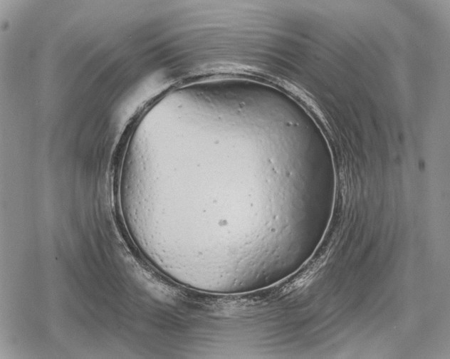 X0000078830987200611271252