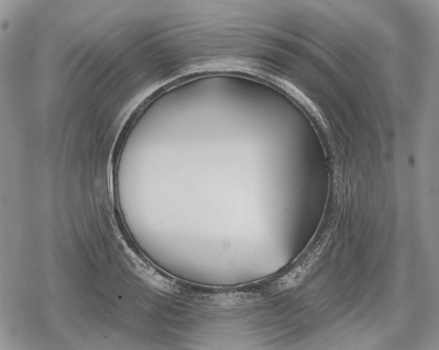 X0000078830988200611271252