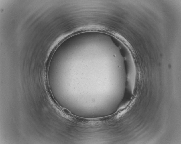 X0000078830989200611271252