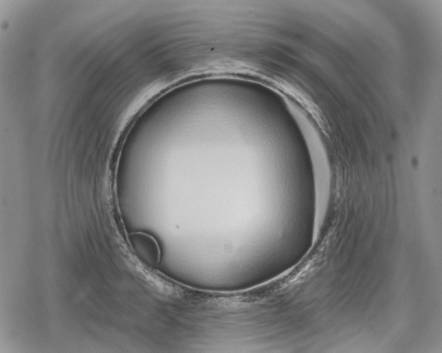 X0000078830990200611271252