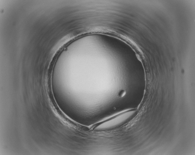 X0000078830991200611271252