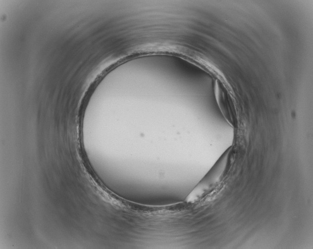 X0000078830992200611271252