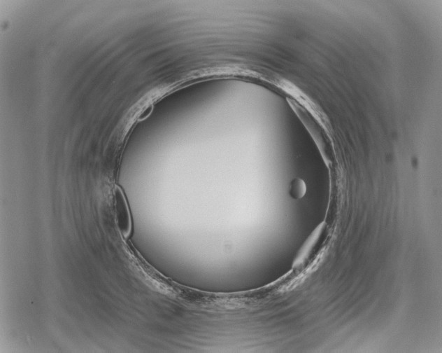 X0000078830993200611271252