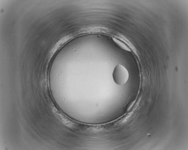 X0000078830994200611271252