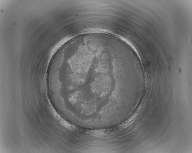 X0000078830995200611271252