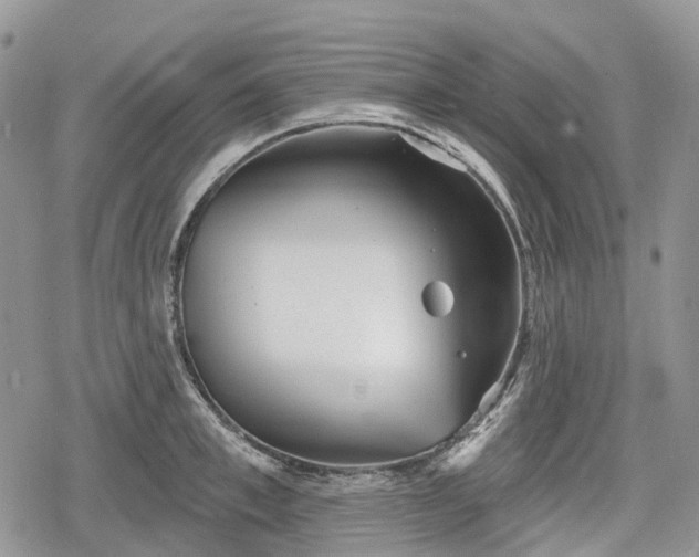 X0000078830997200611271252