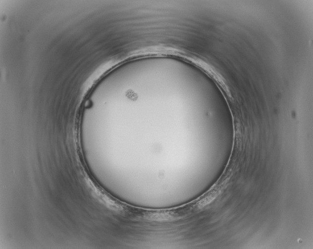 X0000078830998200611271252