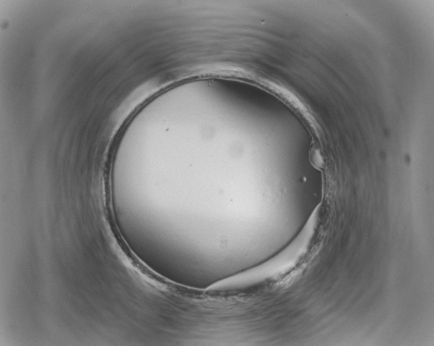 X0000078830999200611271252