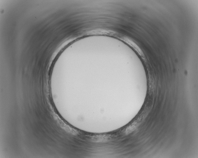 X0000078831000200611271252