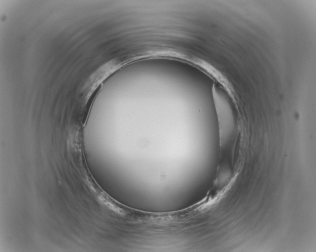 X0000078831001200611271252