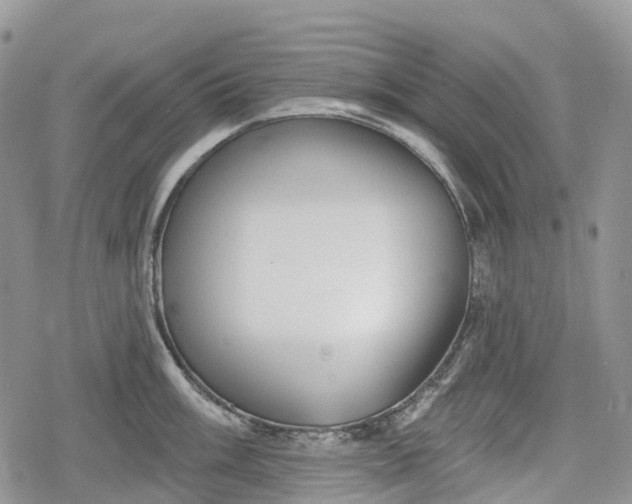 X0000078831003200611271252