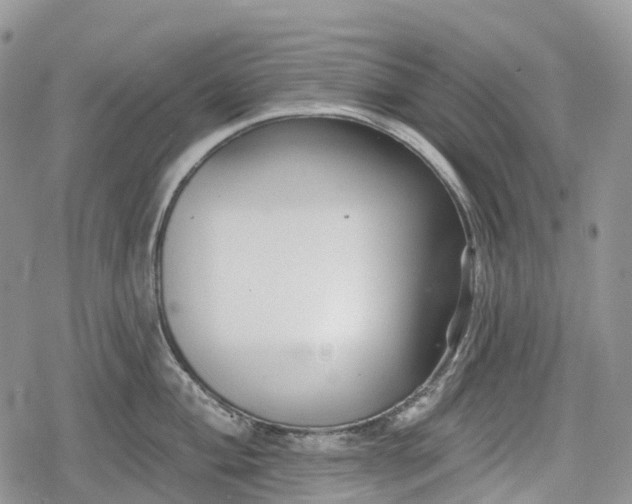 X0000078831004200611271252