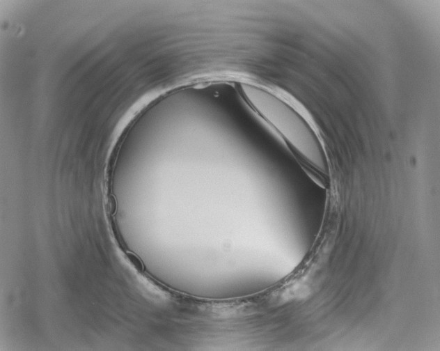 X0000078831005200611271252