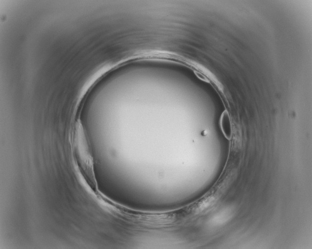 X0000078831007200611271252