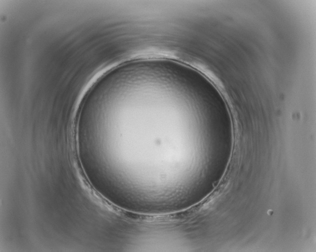 X0000078831008200611271252